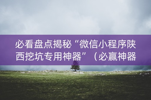 必看盘点揭秘“微信小程序陕西挖坑专用神器”（必赢神器辅助器)