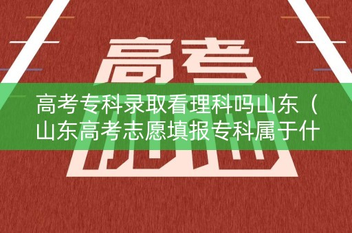 高考专科录取看理科吗山东（山东高考志愿填报专科属于什么批次）