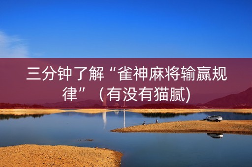 三分钟了解“雀神麻将输赢规律”（有没有猫腻)