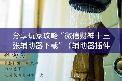 分享玩家攻略“微信财神十三张辅助器下载”（辅助器插件)