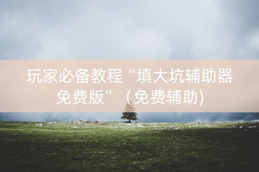 玩家必备教程“填大坑辅助器免费版”（免费辅助)