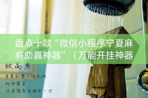 盘点十款“微信小程序宁夏麻将助赢神器”（万能开挂神器)