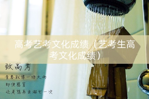 高考艺考文化成绩（艺考生高考文化成绩）
