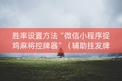 胜率设置方法“微信小程序捉鸡麻将控牌器”（辅助挂发牌规律)