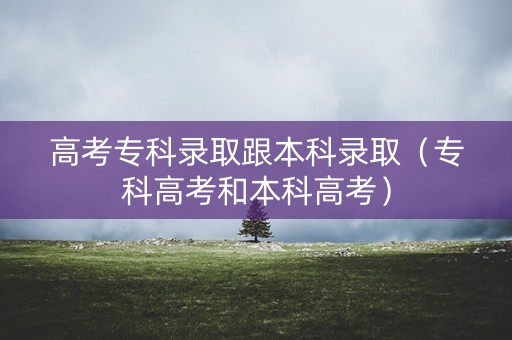 高考专科录取跟本科录取（专科高考和本科高考）