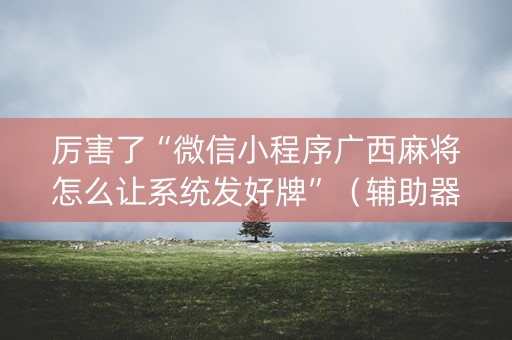 厉害了“微信小程序广西麻将怎么让系统发好牌”（辅助器下载)