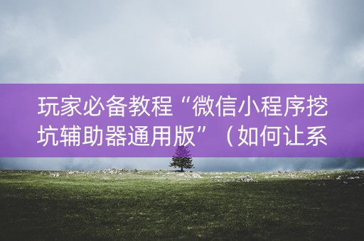 玩家必备教程“微信小程序挖坑辅助器通用版”（如何让系统发好牌)