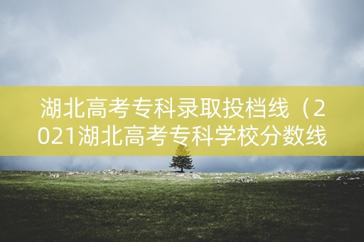 湖北高考专科录取投档线（2021湖北高考专科学校分数线）