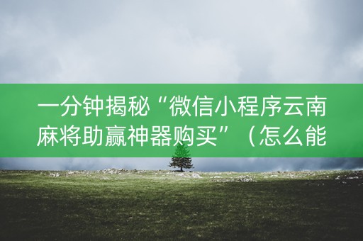 一分钟揭秘“微信小程序云南麻将助赢神器购买”（怎么能调好牌)