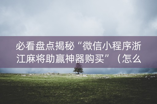 必看盘点揭秘“微信小程序浙江麻将助赢神器购买”（怎么才会赢)