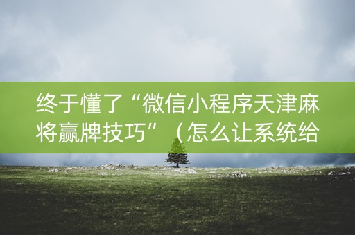 终于懂了“微信小程序天津麻将赢牌技巧”（怎么让系统给你发好牌)