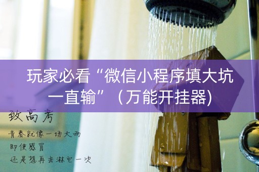 玩家必看“微信小程序填大坑一直输”（万能开挂器)