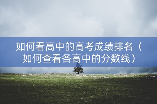 如何看高中的高考成绩排名（如何查看各高中的分数线）