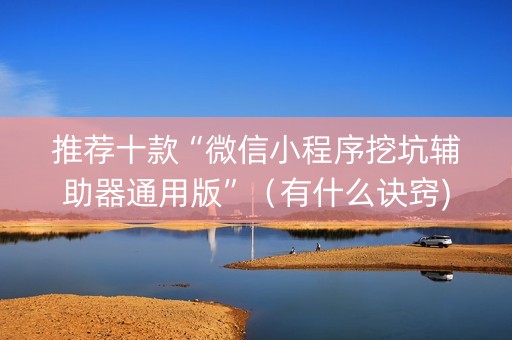 推荐十款“微信小程序挖坑辅助器通用版”（有什么诀窍)