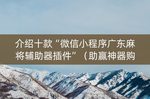 介绍十款“微信小程序广东麻将辅助器插件”（助赢神器购买)