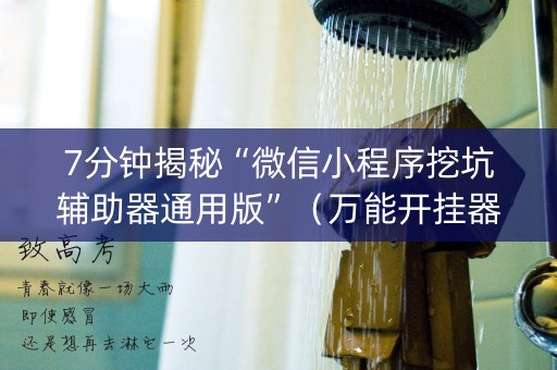 7分钟揭秘“微信小程序挖坑辅助器通用版”（万能开挂器)