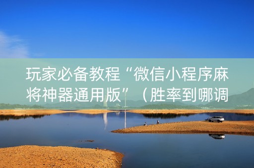 玩家必备教程“微信小程序麻将神器通用版”（胜率到哪调)