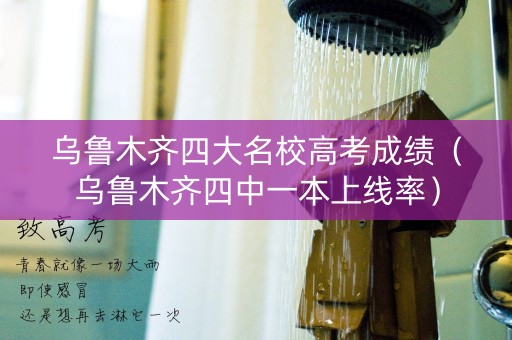 乌鲁木齐四大名校高考成绩（乌鲁木齐四中一本上线率）