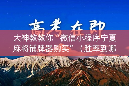大神教教你“微信小程序宁夏麻将铺牌器购买”（胜率到哪调)