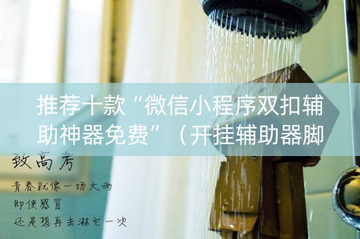 推荐十款“微信小程序双扣辅助神器免费”（开挂辅助器脚本)