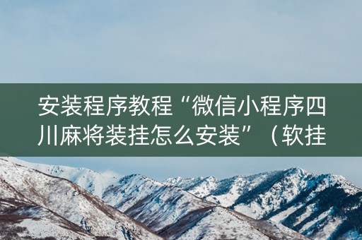 安装程序教程“微信小程序四川麻将装挂怎么安装”（软挂神器)