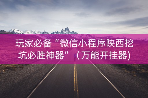 玩家必备“微信小程序陕西挖坑必胜神器”（万能开挂器)