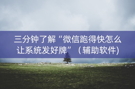 三分钟了解“微信跑得快怎么让系统发好牌”（辅助软件)