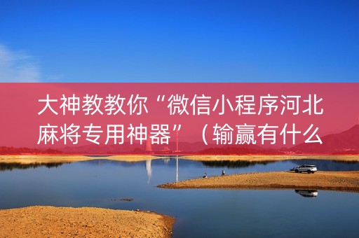 大神教教你“微信小程序河北麻将专用神器”（输赢有什么规律)