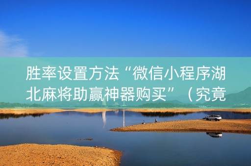 详细阅读:胜率设置方法“微信小程序湖北麻将助赢神器购买”(究竟是不是有挂) 胜率设置方法“微信小程序湖北麻将助赢神器购买”(究竟是不是有挂)