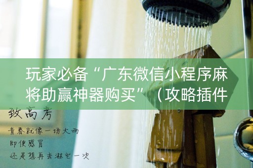 玩家必备“广东微信小程序麻将助赢神器购买”（攻略插件)