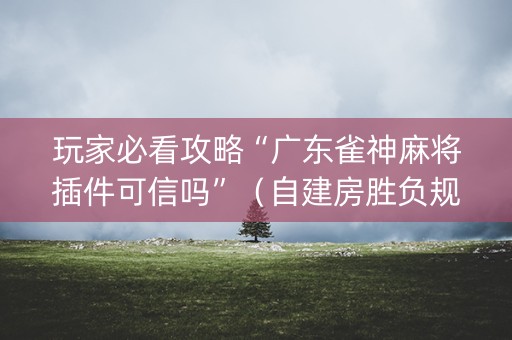 玩家必看攻略“广东雀神麻将插件可信吗”（自建房胜负规律)