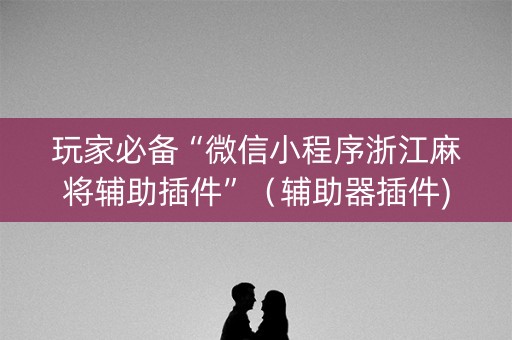 玩家必备“微信小程序浙江麻将辅助插件”（辅助器插件)