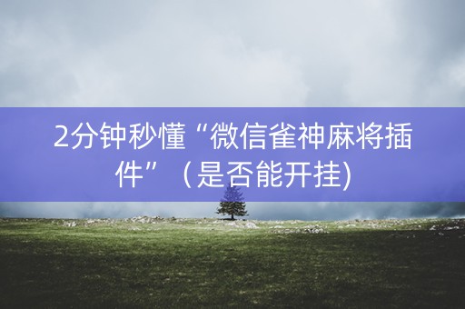 2分钟秒懂“微信雀神麻将插件”（是否能开挂)