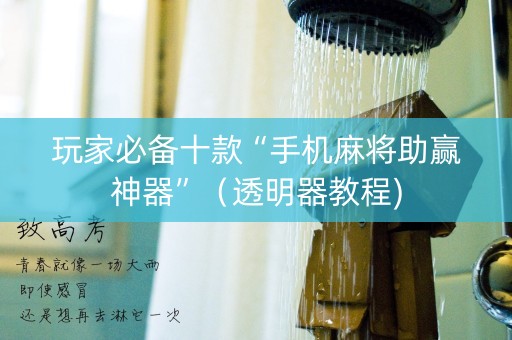 玩家必备十款“手机麻将助赢神器”（透明器教程)