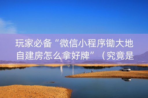 玩家必备“微信小程序锄大地自建房怎么拿好牌”（究竟是不是有挂)