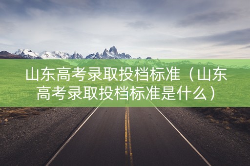山东高考录取投档标准（山东高考录取投档标准是什么）