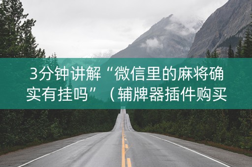 3分钟讲解“微信里的麻将确实有挂吗”（辅牌器插件购买)