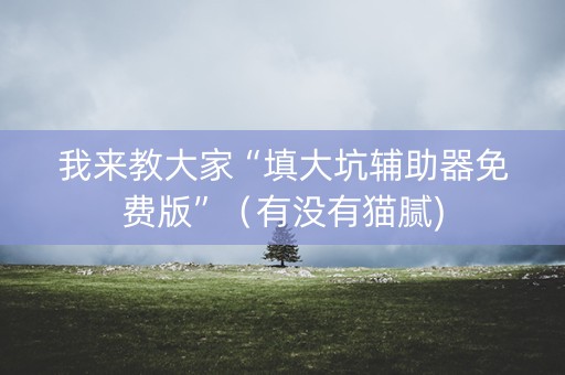 我来教大家“填大坑辅助器免费版”（有没有猫腻)