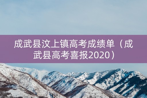 成武县汶上镇高考成绩单（成武县高考喜报2020）