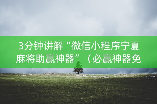 3分钟讲解“微信小程序宁夏麻将助赢神器”（必赢神器免费安装)