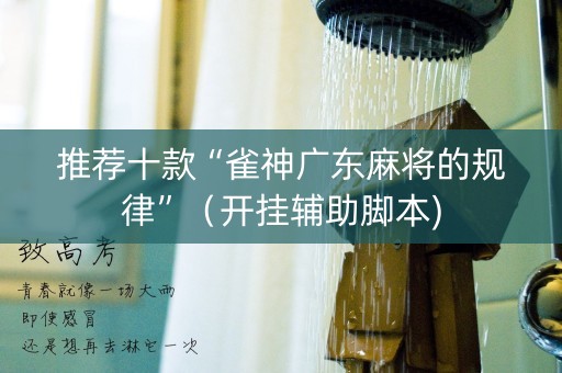 推荐十款“雀神广东麻将的规律”（开挂辅助脚本)