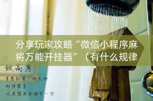 分享玩家攻略“微信小程序麻将万能开挂器”（有什么规律)