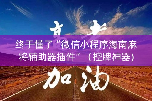 终于懂了“微信小程序海南麻将辅助器插件”（控牌神器)