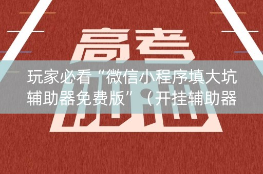 玩家必看“微信小程序填大坑辅助器免费版”（开挂辅助器插件)