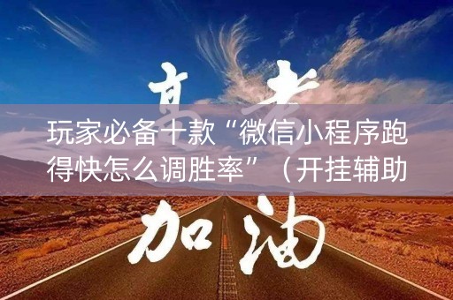 玩家必备十款“微信小程序跑得快怎么调胜率”（开挂辅助器脚本)
