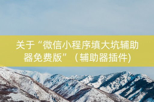 关于“微信小程序填大坑辅助器免费版”（辅助器插件)