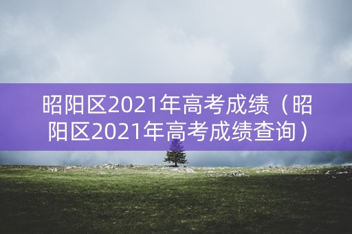 昭阳区2021年高考成绩（昭阳区2021年高考成绩查询）