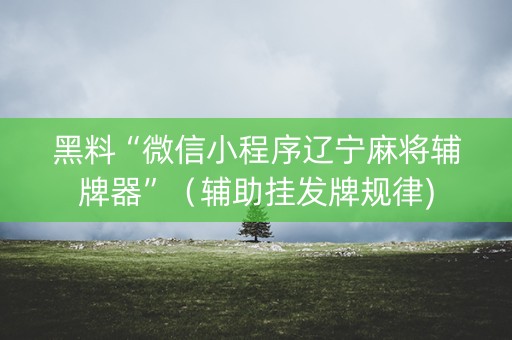 黑料“微信小程序辽宁麻将辅牌器”（辅助挂发牌规律)