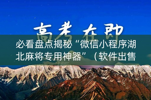 必看盘点揭秘“微信小程序湖北麻将专用神器”（软件出售)