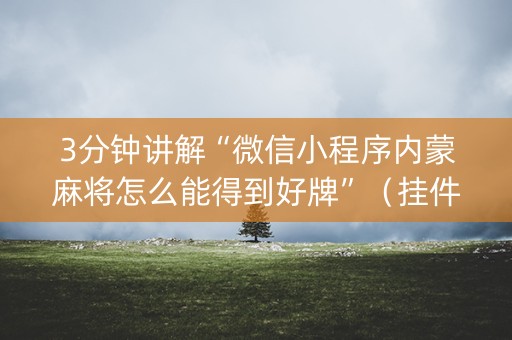 3分钟讲解“微信小程序内蒙麻将怎么能得到好牌”（挂件神器)